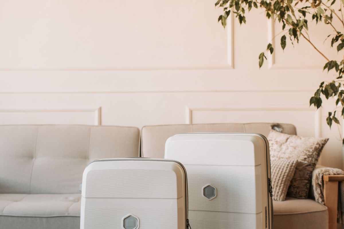 Two white suitcases standing beside an indoor plant